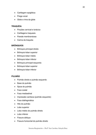20

     Cartilagem epiglótica
     Prega vocal
     Glote e rima da glote


TRAQUÉIA
     Porções cervical e torácica
     Cartilagens traqueais
     Parede membranácea
     Carina da traquéia

BRÔNQUIOS
     Brônquio principal direito
     Brônquio lobar superior
     Brônquio lobar médio
     Brônquio lobar inferior
     Brônquio principal esquerdo
     Brônquio lobar superior
     Brônquio lobar inferior


PULMÃO
     Pulmão direito e pulmão esquerdo
     Base do pulmão
     Ápice do pulmão
     Face costal
     Face mediastinal
     Impressão cardíaca (pulmão esquerdo)
     Face diafragmática
     Hilo do pulmão
     Lobo superior
     Lobo médio do pulmão direito
     Lobo inferior
     Fissura oblíqua
     Fissura horizontal do pulmão direito


                      Sistema Respiratório – Profª Ana Carolina Athayde Braz
 