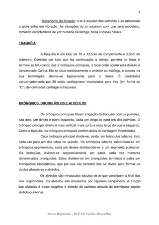 4

                  Mecanismo da fonação: o ar é expulso dos pulmões e ao atravessar
a glote entra em vibração. As vibrações do ar originam som que será modelado,
tomando característica de voz humana na faringe, boca e fossas nasais.


TRAQUÉIA:


                  A traquéia é um tubo de 10 a 12,5cm de comprimento e 2,5cm de
diâmetro. Constitui um tubo que faz continuação à laringe, penetra no tórax e
termina se bifurcando nos 2 brônquios principais, o local onde ocorre esta divisão é
denominado Carina. Ela se situa medianamente e anterior ao esôfago, e apenas na
sua    terminação,     desvia-se      ligeiramente      para     a    direita.   É     constituída
aproximadamente por 20 anéis cartilagíneos incompletos para trás (em forma de
“C”), denominados cartilagens traqueais.



BRÔNQUIOS, BRONQUÍOLOS E ALVÉOLOS:


                  Os brônquios principais fazem a ligação da traquéia com os pulmões,
são dois, um direito e outro esquerdo, cada um dirige-se para um dos pulmões. O
brônquio principal direito é mais vertical, mais curto e mais largo do que o esquerdo.
Como a traquéia, os brônquios principais contém anéis de cartilagem incompletos.
                  Cada brônquio principal divide-se, ainda, em brônquios lobares, indo
cada um para um dos lobos do pulmão. Os brônquios lobares subdividem-se em
brônquios segmentares, cada um destes distribuindo-se a um segmento pulmonar.
Os    brônquios     dividem-se     respectivamente       em     tubos    cada    vez     menores
denominados bronquíolos. Estes dividem-se em bronquíolos terminais e estes em
bronquíolos respiratórios, que por sua vez também irão se dividir para formar os
ductos alveolares e alvéolos.
               Os alvéolos são minúsculos sáculos de ar que constituem o final das
vias respiratórias. Os alvéolos são envolvidos por capilares sanguíneos. A função
dos alvéolos é trocar oxigênio e dióxido de carbono através da membrana capilar
alvéolo-pulmonar.




                      Sistema Respiratório – Profª Ana Carolina Athayde Braz
 