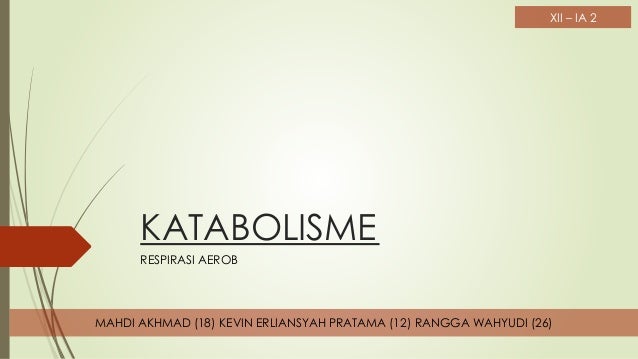 Katabolisme Respirasi Aerob