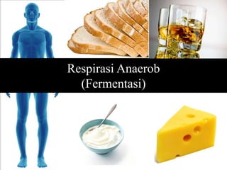 Respirasi Anaerob
(Fermentasi)
 