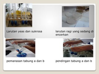 Respirasi anaerob | PPTX