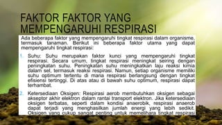 FAKTOR FAKTOR YANG
MEMPENGARUHI RESPIRASI
Ada beberapa faktor yang mempengaruhi tingkat respirasi dalam organisme,
termasuk tanaman. Berikut ini beberapa faktor utama yang dapat
mempengaruhi tingkat respirasi:
1. Suhu: Suhu merupakan faktor kunci yang mempengaruhi tingkat
respirasi. Secara umum, tingkat respirasi meningkat seiring dengan
peningkatan suhu. Peningkatan suhu meningkatkan laju reaksi kimia
dalam sel, termasuk reaksi respirasi. Namun, setiap organisme memiliki
suhu optimum tertentu di mana respirasi berlangsung dengan tingkat
efisiensi tertinggi. Di atas atau di bawah suhu optimum, respirasi dapat
terhambat.
2. Ketersediaan Oksigen: Respirasi aerob membutuhkan oksigen sebagai
akseptor akhir elektron dalam rantai transport elektron. Jika ketersediaan
oksigen terbatas, seperti dalam kondisi anaerobik, respirasi anaerob
dapat terjadi yang menghasilkan jumlah energi yang lebih sedikit.
Oksigen yang cukup sangat penting untuk memelihara tingkat respirasi
yang optimal.
 