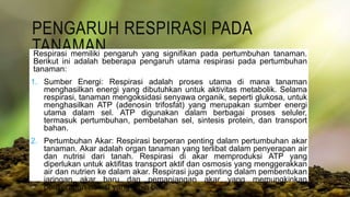 PENGARUH RESPIRASI PADA
TANAMAN
Respirasi memiliki pengaruh yang signifikan pada pertumbuhan tanaman.
Berikut ini adalah beberapa pengaruh utama respirasi pada pertumbuhan
tanaman:
1. Sumber Energi: Respirasi adalah proses utama di mana tanaman
menghasilkan energi yang dibutuhkan untuk aktivitas metabolik. Selama
respirasi, tanaman mengoksidasi senyawa organik, seperti glukosa, untuk
menghasilkan ATP (adenosin trifosfat) yang merupakan sumber energi
utama dalam sel. ATP digunakan dalam berbagai proses seluler,
termasuk pertumbuhan, pembelahan sel, sintesis protein, dan transport
bahan.
2. Pertumbuhan Akar: Respirasi berperan penting dalam pertumbuhan akar
tanaman. Akar adalah organ tanaman yang terlibat dalam penyerapan air
dan nutrisi dari tanah. Respirasi di akar memproduksi ATP yang
diperlukan untuk aktifitas transport aktif dan osmosis yang menggerakkan
air dan nutrien ke dalam akar. Respirasi juga penting dalam pembentukan
jaringan akar baru dan pemanjangan akar yang memungkinkan
penyerapan nutrisi yang lebih baik.
 