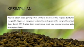 KESIMPULAN
Respirasi adalah proses penting dalam kehidupan tanaman.Melalui respirasi, tumbuhan
mengambil oksigen dan melepaskan karbon dioksida.Respirasi seluler menghasilkan energi
dalam bentuk ATP. Respirasi dapat terjadi secara aerob atau anaerob tergantung pada
ketersediaan oksigen.
 