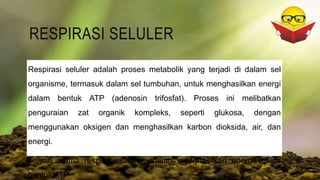 RESPIRASI SELULER
Respirasi seluler adalah proses metabolik yang terjadi di dalam sel
organisme, termasuk dalam sel tumbuhan, untuk menghasilkan energi
dalam bentuk ATP (adenosin trifosfat). Proses ini melibatkan
penguraian zat organik kompleks, seperti glukosa, dengan
menggunakan oksigen dan menghasilkan karbon dioksida, air, dan
energi.
Tujuan utama respirasi seluler adalah menghasilkan energi dalam
bentuk ATP
 