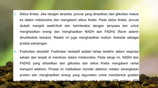 3. Siklus Krebs: Jika oksigen tersedia, piruvat yang dihasilkan dari glikolisis masuk
ke dalam mitokondria dan mengalami siklus Krebs. Pada siklus Krebs, piruvat
diubah menjadi asetil-KoA dan berinteraksi dengan senyawa lain untuk
menghasilkan energi dan menghasilkan NADH dan FADH2 (flavin adenin
dinukleotida reduksi). Reaksi ini juga menghasilkan karbon dioksida sebagai
produk sampingan.
4. Fosforilasi oksidatif: Fosforilasi oksidatif adalah tahap terakhir dalam respirasi
seluler dan terjadi di membran dalam mitokondria. Pada tahap ini, NADH dan
FADH2 yang dihasilkan dari glikolisis dan siklus Krebs mengalami rantai
transport elektron. Proses ini melibatkan transfer elektron melalui serangkaian
protein dan menghasilkan energi yang digunakan untuk membentuk gradien
elektrokimia. Energi ini kemudian digunakan untuk sintesis ATP melalui ATP
sintase.
 