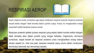 RESPIRASI AEROP
Selain respirasi aerob, tumbuhan juga dapat melakukan respirasi anaerob. Respirasi anaerob
terjadi ketika oksigen tidak tersedia dalam jumlah cukup. Proses ini menghasilkan energi
yang lebih sedikit daripada respirasi aerob
Respirasi anaerob adalah proses respirasi yang terjadi dalam kondisi ketika oksigen
tidak tersedia atau dalam jumlah yang sangat terbatas. Organisme, termasuk
tumbuhan, dapat beralih ke respirasi anaerob untuk menghasilkan energi dalam
situasi seperti itu. Ada dua jalur respirasi anaerob yang umum dalam tumbuhan:
fermentasi alkoholik dan fermentasi laktatik.
 