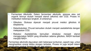 1. Fermentasi Alkoholik: Dalam fermentasi alkoholik, glukosa atau zat
organik lainnya diubah menjadi etanol (alkohol) dan CO2. Proses ini
melibatkan beberapa langkah, di antaranya:
• Glikolisis: Glukosa dipecah menjadi piruvat melalui glikolisis di
sitoplasma.
• Dekarboksilasi: Piruvat kemudian diubah menjadi asetaldehida dengan
melepaskan CO2.
• Reduksi: Asetaldehida kemudian direduksi menjadi etanol
menggunakan NADH yang dihasilkan selama glikolisis. NADH kembali
menjadi NAD+.
Fermentasi alkoholik digunakan oleh beberapa tumbuhan, seperti ragi, untuk
menghasilkan energi ketika oksigen terbatas. Proses ini juga terjadi dalam
pembuatan produk seperti roti, bir, dan anggur.
 