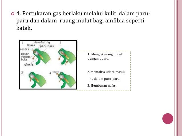 penarikan benda gaib dengan tenaga dalam Respirasi sel penarikan benda gaib dengan tenaga dalam Respirasi sel