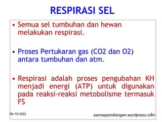 RESPIRASI SEL
• Semua sel tumbuhan dan hewan
melakukan respirasi.
• Proses Pertukaran gas (CO2 dan O2)
antara tumbuhan dan atm.
• Respirasi adalah proses pengubahan KH
menjadi energi (ATP) untuk digunakan
pada reaksi-reaksi metobolisme termasuk
FS
06/10/2022 1
samsepandiangan.wordpress.com
 