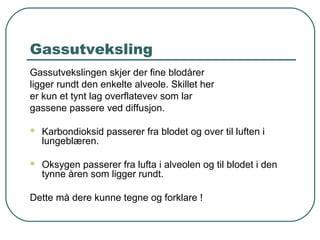 Gassutveksling
Gassutvekslingen skjer der fine blodårer
ligger rundt den enkelte alveole. Skillet her
er kun et tynt lag overflatevev som lar
gassene passere ved diffusjon.
 Karbondioksid passerer fra blodet og over til luften i
lungeblæren.
 Oksygen passerer fra lufta i alveolen og til blodet i den
tynne åren som ligger rundt.
Dette må dere kunne tegne og forklare !
 