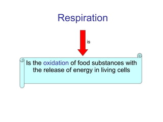 Respiration Is the  oxidation  of food substances with the release of energy in living cells is 