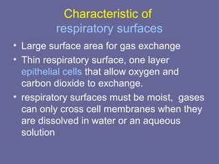 Characteristic of
respiratory surfaces
• Large surface area for gas exchange
• Thin respiratory surface, one layer
epithelial cells that allow oxygen and
carbon dioxide to exchange.
• respiratory surfaces must be moist, gases
can only cross cell membranes when they
are dissolved in water or an aqueous
solution
 