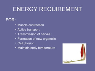 ENERGY REQUIREMENT
FOR:
• Muscle contraction
• Active transport
• Transmission of nerves
• Formation of new organelle
• Cell division
• Maintain body temperature
 