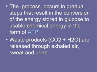 • The process occurs in gradual
steps that result in the conversion
of the energy stored in glucose to
usable chemical energy in the
form of ATP
• Waste products (CO2 + H2O) are
released through exhaled air,
sweat and urine
 