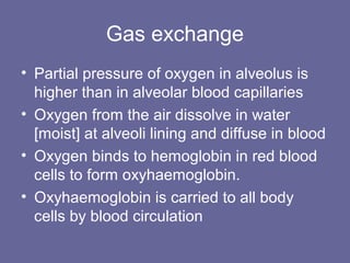 Gas exchange
• Partial pressure of oxygen in alveolus is
higher than in alveolar blood capillaries
• Oxygen from the air dissolve in water
[moist] at alveoli lining and diffuse in blood
• Oxygen binds to hemoglobin in red blood
cells to form oxyhaemoglobin.
• Oxyhaemoglobin is carried to all body
cells by blood circulation
 