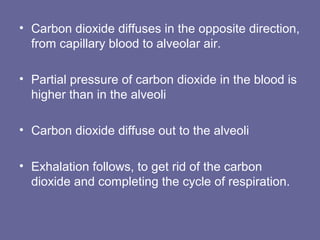 • Carbon dioxide diffuses in the opposite direction,
from capillary blood to alveolar air.
• Partial pressure of carbon dioxide in the blood is
higher than in the alveoli
• Carbon dioxide diffuse out to the alveoli
• Exhalation follows, to get rid of the carbon
dioxide and completing the cycle of respiration.
 