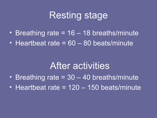 Resting stage
• Breathing rate = 16 – 18 breaths/minute
• Heartbeat rate = 60 – 80 beats/minute
After activities
• Breathing rate = 30 – 40 breaths/minute
• Heartbeat rate = 120 – 150 beats/minute
 