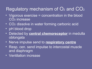 • Vigorous exercise = concentration in the blood
CO2 increase
• CO2 dissolve in water forming carbonic acid
• pH blood drop
• Detected by central chemoreceptor in medulla
oblongata
• Nerve impulse send to respiratory centre
• Resp. cen. send impulse to intercostal muscle
and diaphragm
• Ventilation increase
Regulatory mechanism of O2 and CO2
 