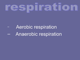 – Aerobic respiration
– Anaerobic respiration
 