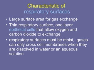 Characteristic of  respiratory surfaces Large surface area for gas exchange  Thin respiratory surface, one layer  epithelial cells  that allow oxygen and carbon dioxide to exchange.  respiratory surfaces must be moist,  gases can only cross cell membranes when they are dissolved in water or an aqueous solution 