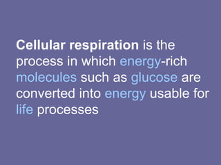 Cellular respiration  is the process in which  energy -rich  molecules  such as  glucose  are converted into  energy  usable for  life  processes 