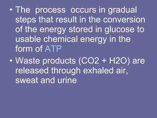 The  process  occurs in gradual steps that result in the conversion of the energy stored in glucose to usable chemical energy in the form of  ATP Waste products (CO2 + H2O) are released through exhaled air, sweat and urine 