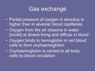 Gas exchange Partial pressure of oxygen in alveolus is higher than in alveolar blood capillaries Oxygen from the air dissolve in water [moist] at alveoli lining and diffuse in blood Oxygen binds to hemoglobin in red blood cells to form oxyhaemoglobin.  Oxyhaemoglobin is carried to all body cells by blood circulation 