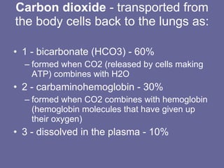 Carbon dioxide  - transported from the body cells back to the lungs as:  1 - bicarbonate (HCO3) - 60%  formed when CO2 (released by cells making ATP) combines with H2O  2 - carbaminohemoglobin - 30%  formed when CO2 combines with hemoglobin (hemoglobin molecules that have given up their oxygen) 3 - dissolved in the plasma - 10% 
