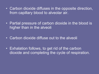 Carbon dioxide diffuses in the opposite direction, from capillary blood to alveolar air.  Partial pressure of carbon dioxide in the blood is higher than in the alveoli Carbon dioxide diffuse out to the alveoli Exhalation follows, to get rid of the carbon dioxide and completing the cycle of respiration. 