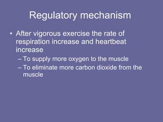 Regulatory mechanism  After vigorous exercise the rate of respiration increase and heartbeat increase To supply more oxygen to the muscle  To eliminate more carbon dioxide from the muscle 