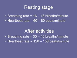 Resting stage Breathing rate = 16 – 18 breaths/minute Heartbeat rate = 60 – 80 beats/minute After activities Breathing rate = 30 – 40 breaths/minute Heartbeat rate = 120 – 150 beats/minute 