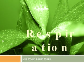 Respiration Liza Pryor, Sarah Mead 