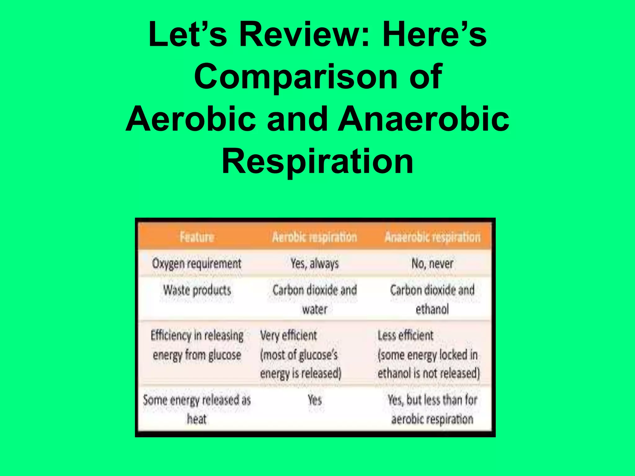 Let’s Review: Here’sComparison ofAerobic and Anaerobic Respiration