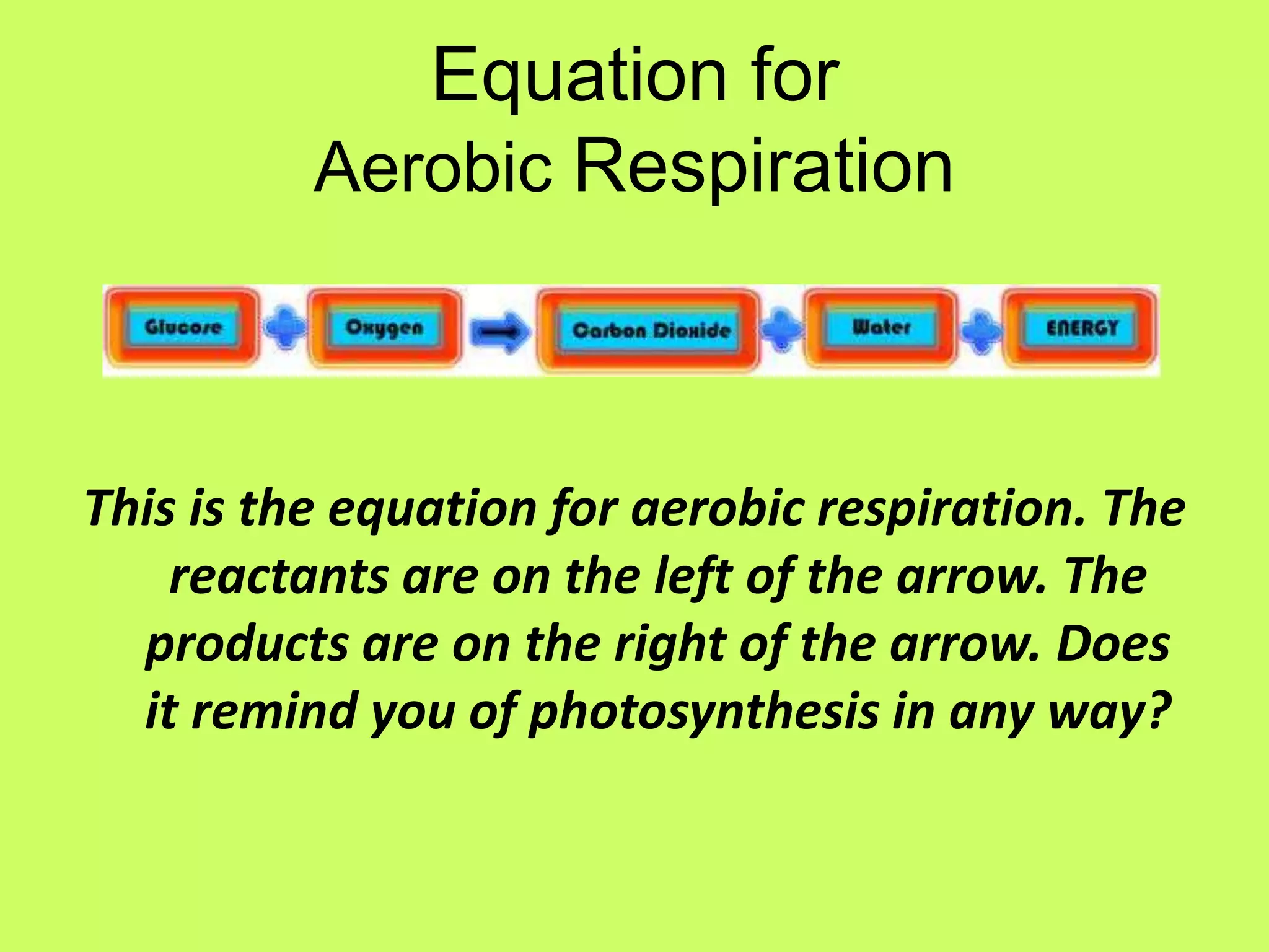 Equation for Aerobic RespirationThis is the equation for aerobic respiration. The reactants are on the left of the arrow. The products are on the right of the arrow. Does it remind you of photosynthesis in any way?