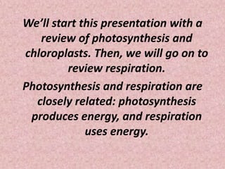 We’ll start this presentation with a review of photosynthesis and chloroplasts. Then, we will go on to review respiration.Photosynthesis and respiration are closely related: photosynthesis produces energy, and respiration uses energy.