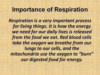 Importance of RespirationRespiration is a very important process for living things. It is how the energy we need for our daily lives is released from the food we eat. Red blood cells take the oxygen we breathe from our lungs to our cells, and the mitochondria use the oxygen to “burn” our digested food for energy.