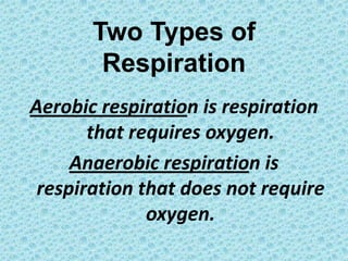 Two Types of RespirationAerobic respiration is respiration that requires oxygen.Anaerobic respiration is respiration that does not require oxygen.