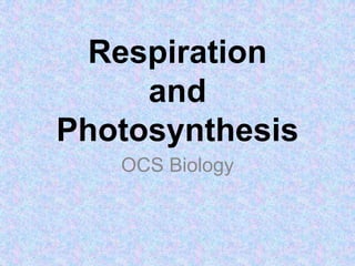 Respirationand Photosynthesis OCS Biology  