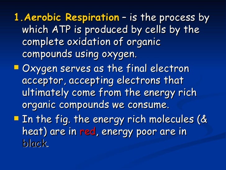 Respiration