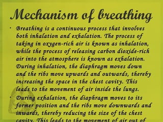 Mechanism of breathing
•
    Breathing is a continuous process that involves
    both inhalation and exhalation. The process of
    taking in oxygen-rich air is known as inhalation,
    while the process of releasing carbon dioxide-rich
    air into the atmosphere is known as exhalation.
    During inhalation, the diaphragm moves down
    and the ribs move upwards and outwards, thereby
    increasing the space in the chest cavity. This
    leads to the movement of air inside the lungs.
•
    During exhalation, the diaphragm moves to its
    former position and the ribs move downwards and
    inwards, thereby reducing the size of the chest
 