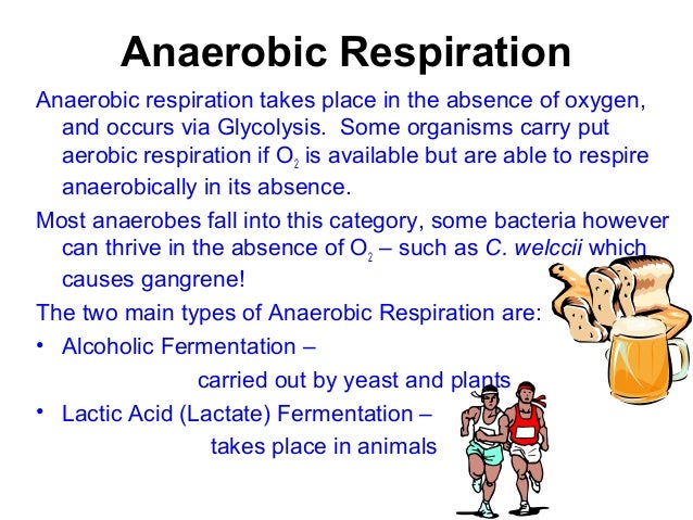 Respiration