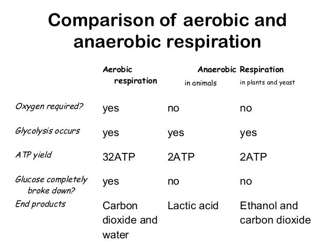 What is the difference between fermentation and anaerobic respiration?