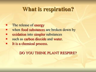 Respiration | PPT