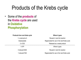 Products of the Krebs cycle
• Some of the products of
  the Krebs cycle are used
  in Oxidative
  Phosphorylation

      Products from one Krebs cycle                 Where it goes
             1 x coenzyme A                   Reused in next link reaction
              Oxaloacetate            Regenerated for use in the next Krebs cycle
                2 x CO2                      Released as a waste product
                 1 ATP                              Where it goes

             3 reduced NAD                   Reused in next link reaction
             1 reduced FAD            Regenerated for use in the next Krebs cycle
 
