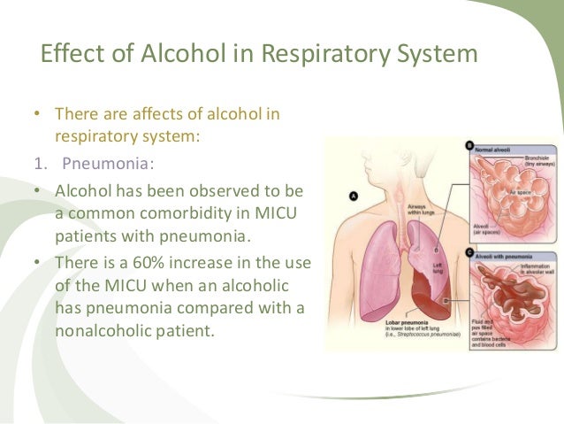 Respiration