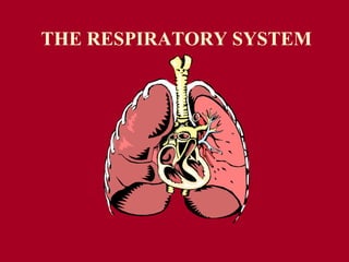 THE RESPIRATORY SYSTEM
 