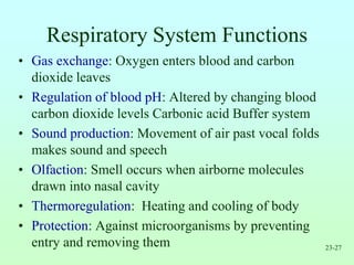 23-27
Respiratory System Functions
• Gas exchange: Oxygen enters blood and carbon
dioxide leaves
• Regulation of blood pH: Altered by changing blood
carbon dioxide levels Carbonic acid Buffer system
• Sound production: Movement of air past vocal folds
makes sound and speech
• Olfaction: Smell occurs when airborne molecules
drawn into nasal cavity
• Thermoregulation: Heating and cooling of body
• Protection: Against microorganisms by preventing
entry and removing them
 