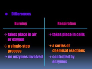 Differences
Burning Respiration
takes place in air
or oxygen
takes place in cells
a single-step
process
a series of
chemical reactions
no enzymes involved controlled by
enzymes
 
