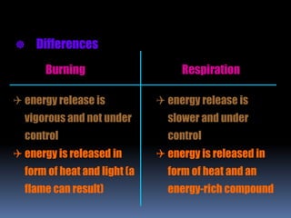 Burning Respiration
 Differences
 energy release is
vigorous and not under
control
 energy release is
slower and under
control
 energy is released in
form of heat and light (a
flame can result)
 energy is released in
form of heat and an
energy-rich compound
 